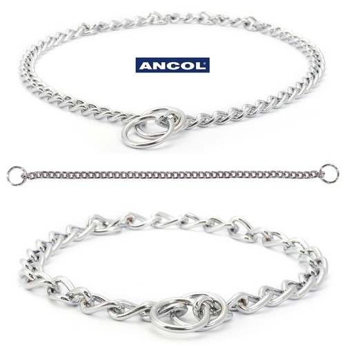 Chain dog collar chrome - chain,