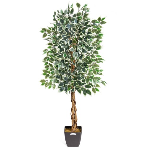 Artificial variegated ficus - artificial,