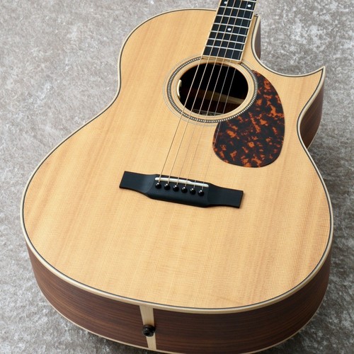 Larrivee indian rosewood - indian,