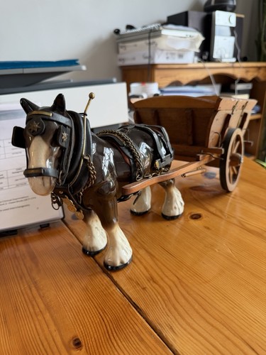 Shire draft horse with - shire,
