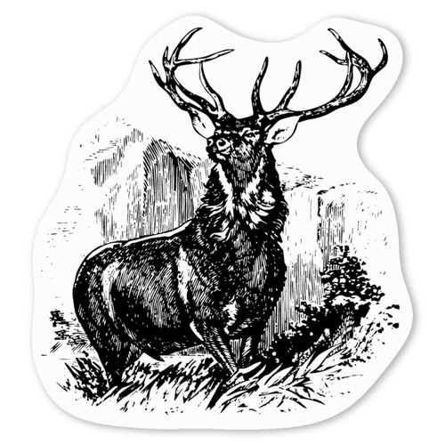 Proud stag white - 'proud, stag'