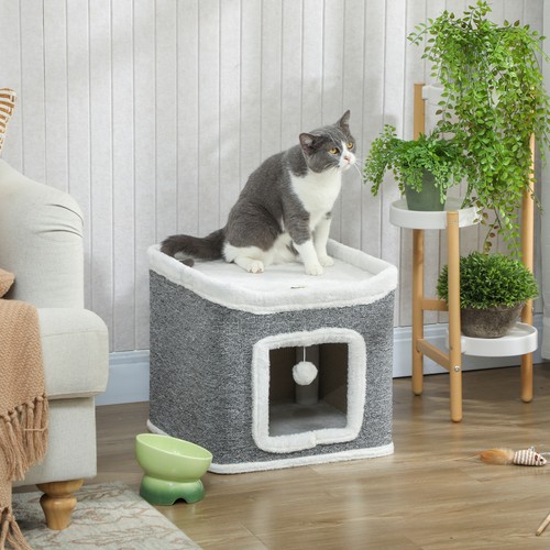 Cat house for - house, kittens