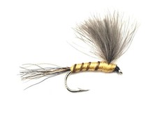 Cdc may dun - may, flies