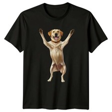 Labrador Retriever Dog Animals