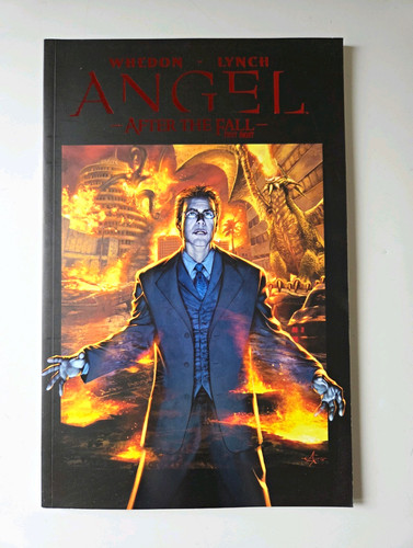Angel after the fall first - angel:,