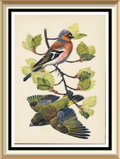 Old 1947 vintage litho - old,