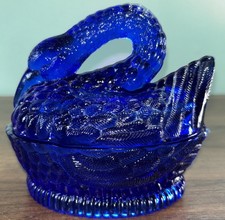 Hsinchu Cobalt Blue Swan on a