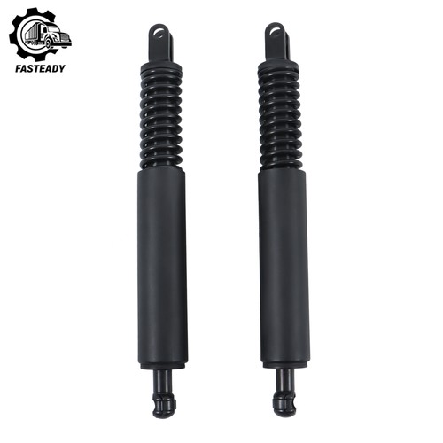 Tailgate boot gas - gas, struts