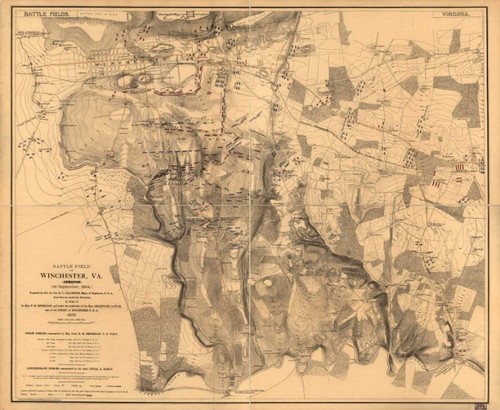 1873 map of battle - 20",