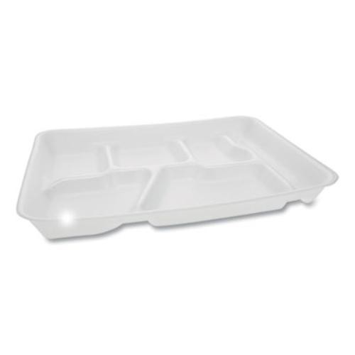Pactive 0th10601sgbx foam - 0th10601sgbx,