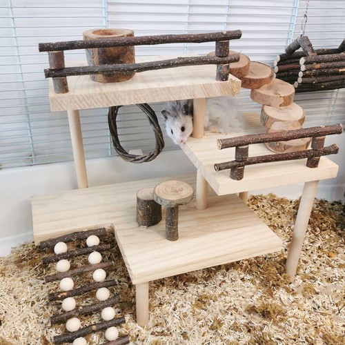 Hamster toy with climbing - hamster, toy,
