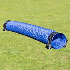 Dog Agility Tunnel Training