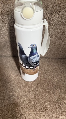 Racing pigeon bundle - ,