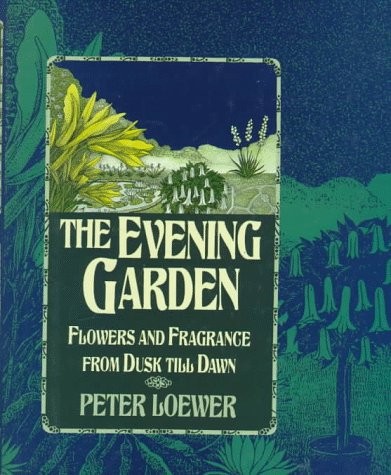 The evening garden - the, flowers