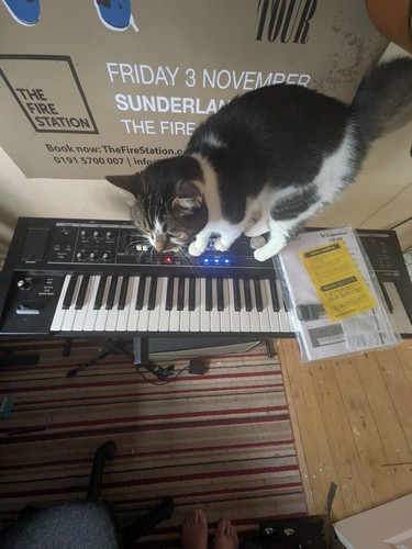 Roland 09b combo - roland, vr-09b