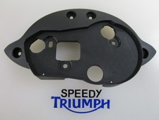 TRIUMPH SPEED TRIPLE 1050 & R