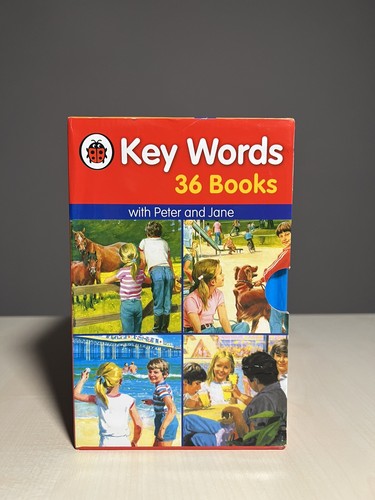 Ladybird key words with - words,