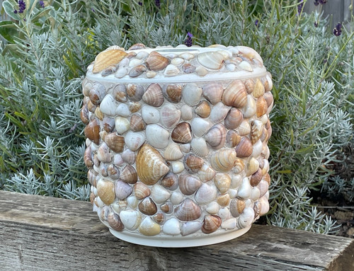 Vintage seashell ice bucket - seashell,