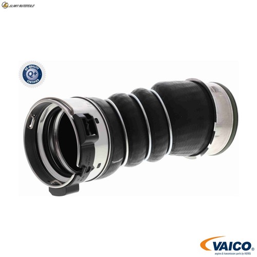 Intercooler hose v20 - hose, for
