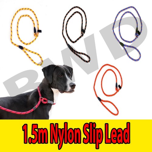 Leash dog slip - lead, rope
