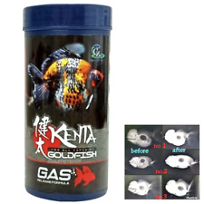 150g Goldfish Food Gas Release Formula Problem of balance in goldfish Kenta K
