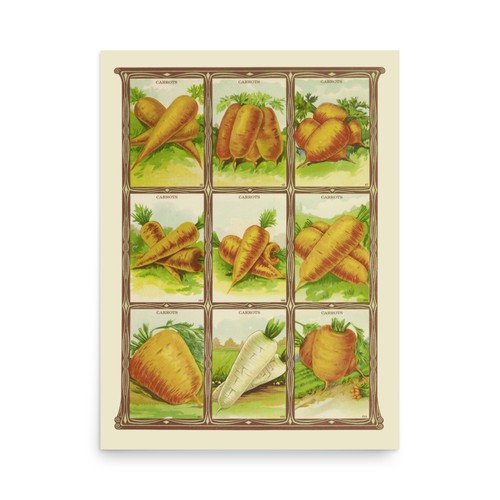 Seed packet art carrots 1921 - art,