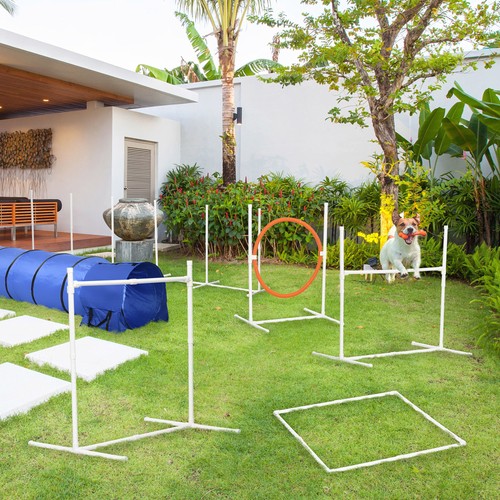 Pawhut six piece - pawhut, agility