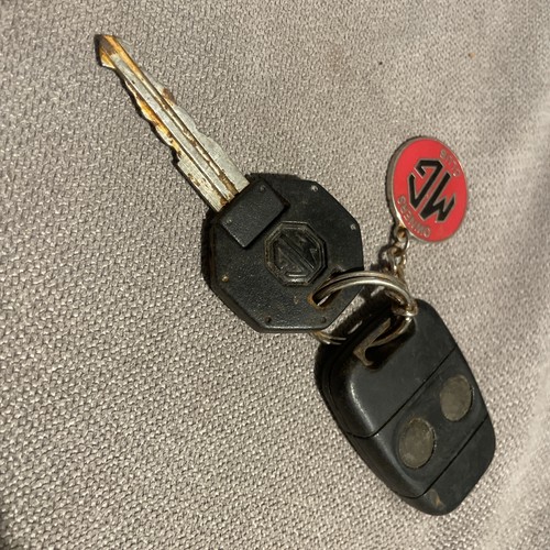 Lucas key fob - lucas,