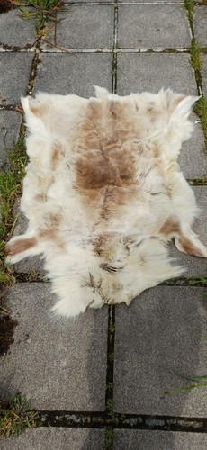 Genuine reindeer hide - genuine,