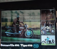 Triumph Bonneville Tiger 650