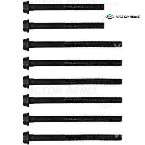 Cylinder head bolt set - head, victor