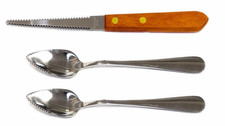 Set of 2 Grapefruit Spoons and