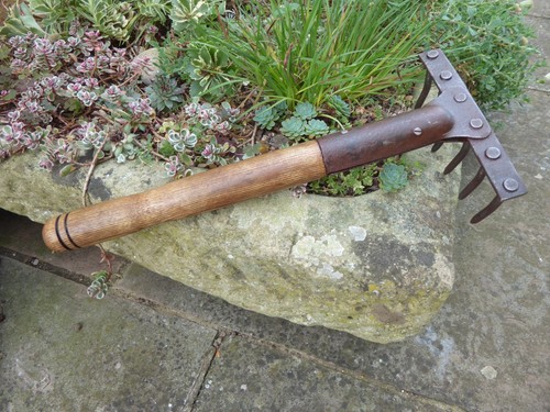 Hand rake short handle - hand, rake.