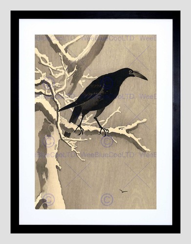 Japan nature crow tree snow - japan,