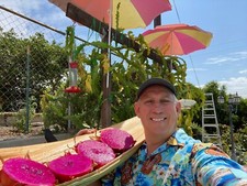 Best Dragon Fruit Cuttings