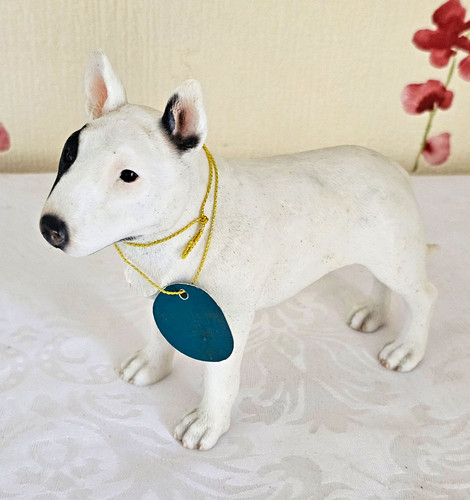 Leonardo english bull terrier - english,