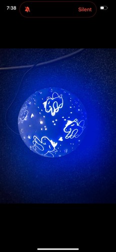 Children led night - night, light