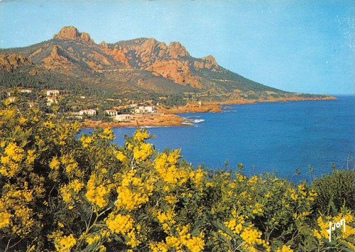 83-ESTEREL