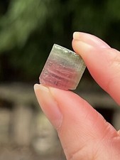 Watermelon tourmaline fine - tourmaline,