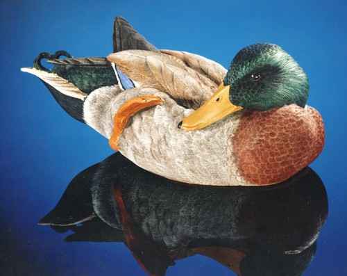 Grooming mallard drake - -, resin
