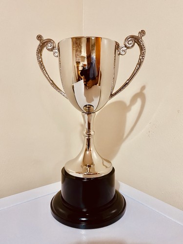 Silver trophy 10 - 🏆, 10”