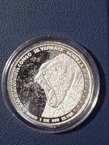2020 congo silverback - silverback, gorilla