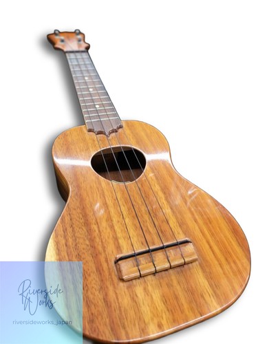 Koaloha ukulele std mahoneck - koaloha,