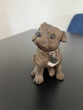 Staffordshire Bull Terrier