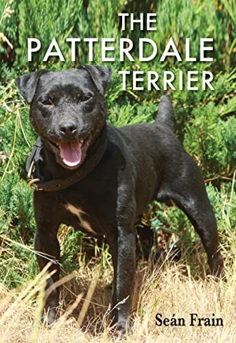 The patterdale terrier sean - patterdale,