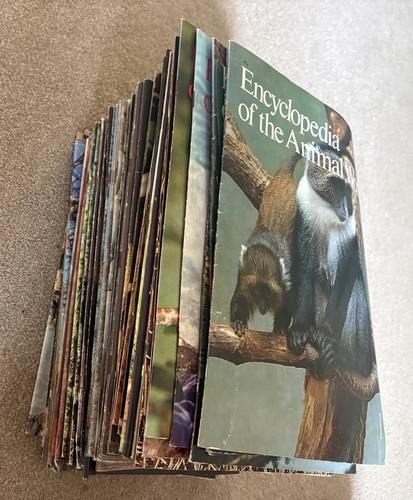 Encyclopedia the animal - encyclopedia, of