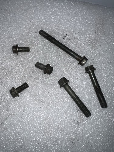 Suzuki lt50 pull start - suzuki,