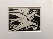‘Arctic Tern’- Framed