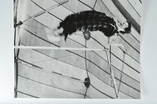 Clown performing acrobatics - clown,