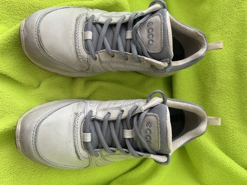 Ecco pale grey - grey, trainers